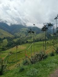Foto 3 de 3