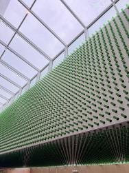 Image {1} of {2}