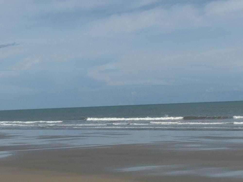 Foto 2 de 2