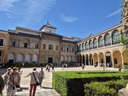 Foto 10 de 19