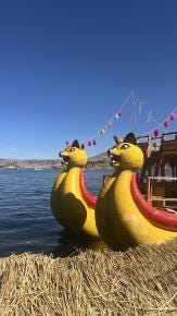 Foto 1 de 8