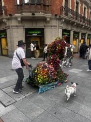 Foto 4 de 4