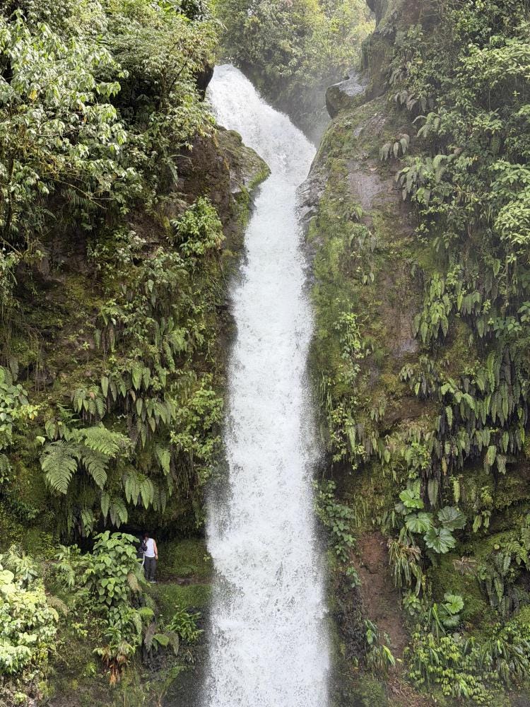 Foto 1 de 2