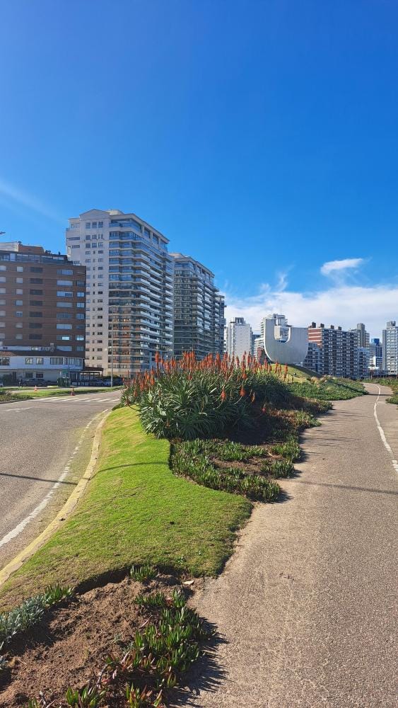 Foto 1 de 3