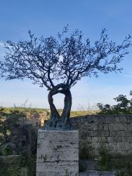 Foto 6 de 7