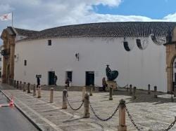 Foto 1 de 1