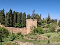 Foto 2 de 8