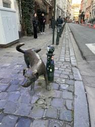 Foto 2 de 2