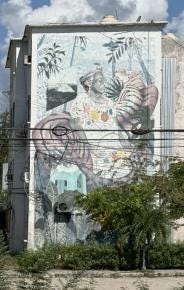 Foto 8 de 8