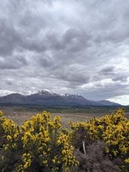 Foto 2 de 4