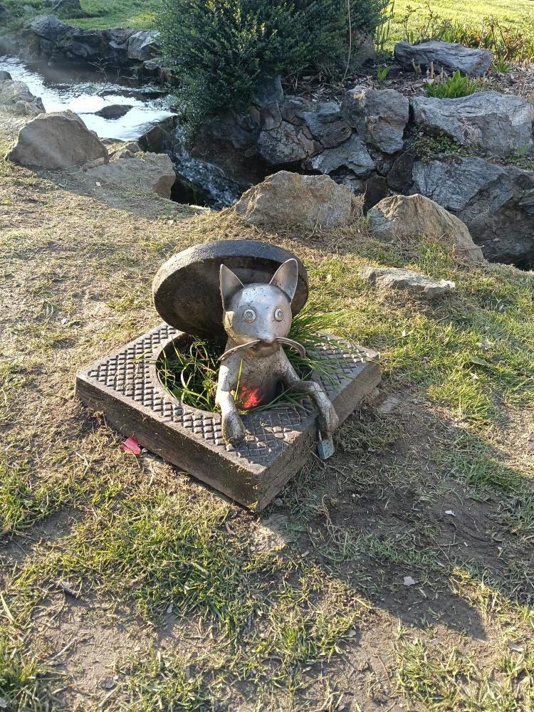 Foto 1 di 1