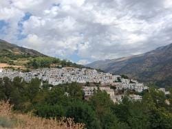 Foto 5 de 5