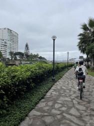 Foto 3 de 3