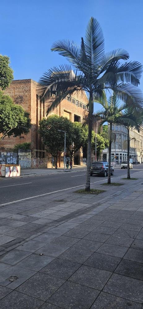 Foto 5 de 5
