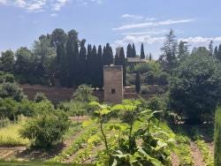 Foto {1} di {2}