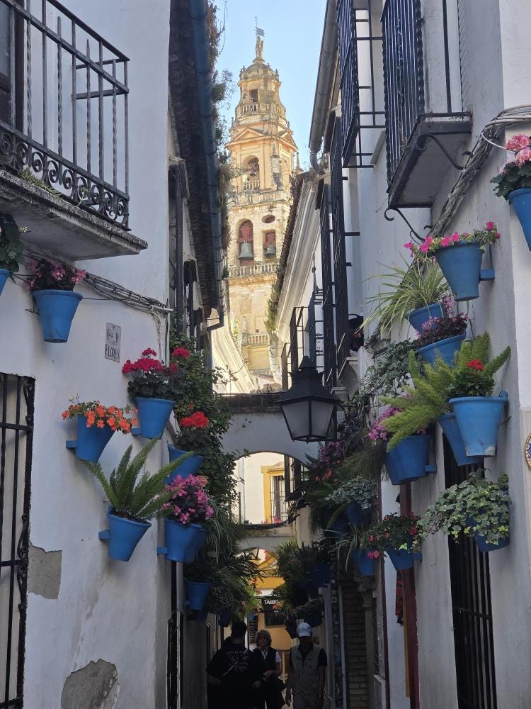 Foto 2 de 2