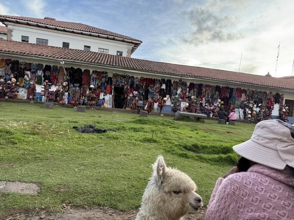 Foto 2 de 3