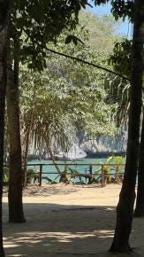 Foto 2 de 7