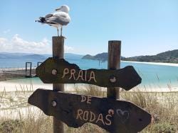 Foto 1 de 3