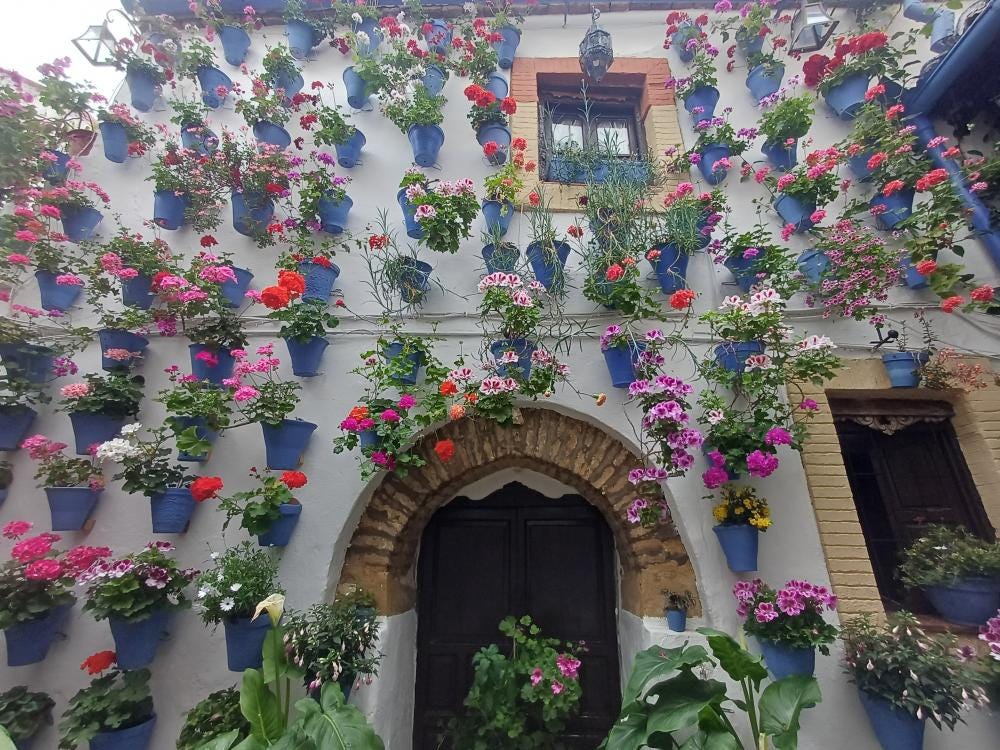 Foto 3 de 7