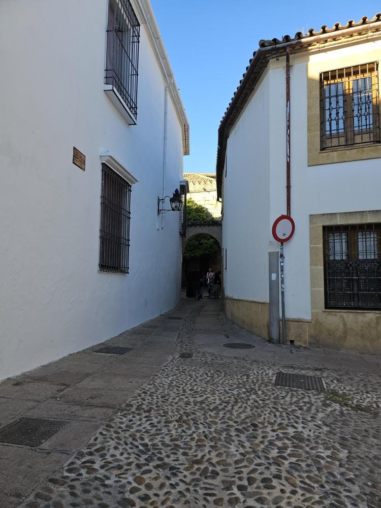Foto 4 de 5