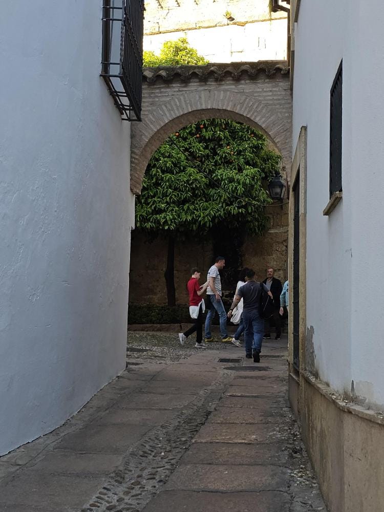 Foto 5 de 5