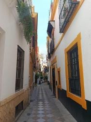 Foto 1 de 1