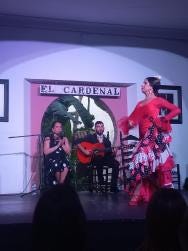 Foto 5 de 6