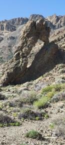 Foto 4 de 4