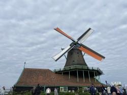 Image {1} of {2}