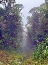 Foto 5 de 6