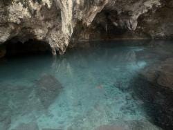 Photo {1} sur {2}