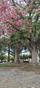 Foto 1 de 5