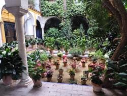 Foto 2 de 4