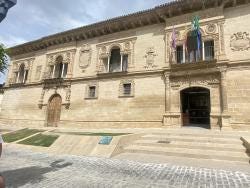 Foto 1 de 8