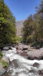 Foto 3 de 3