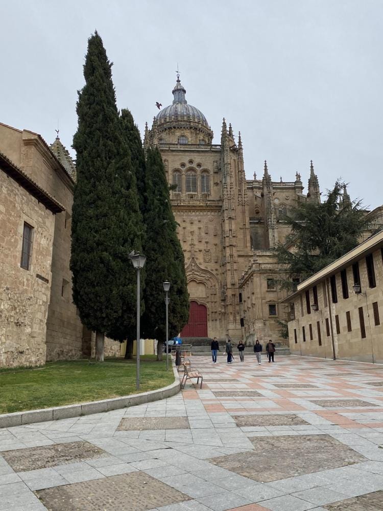 Foto 4 de 4
