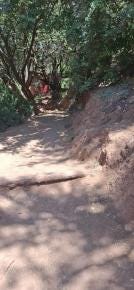 Foto 2 de 2