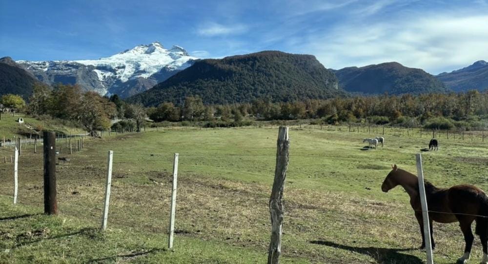 Foto 6 de 7