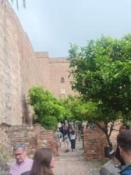 Foto 1 de 1