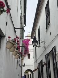 Foto 3 de 3