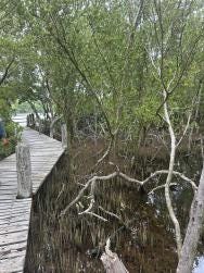 Foto 8 de 8