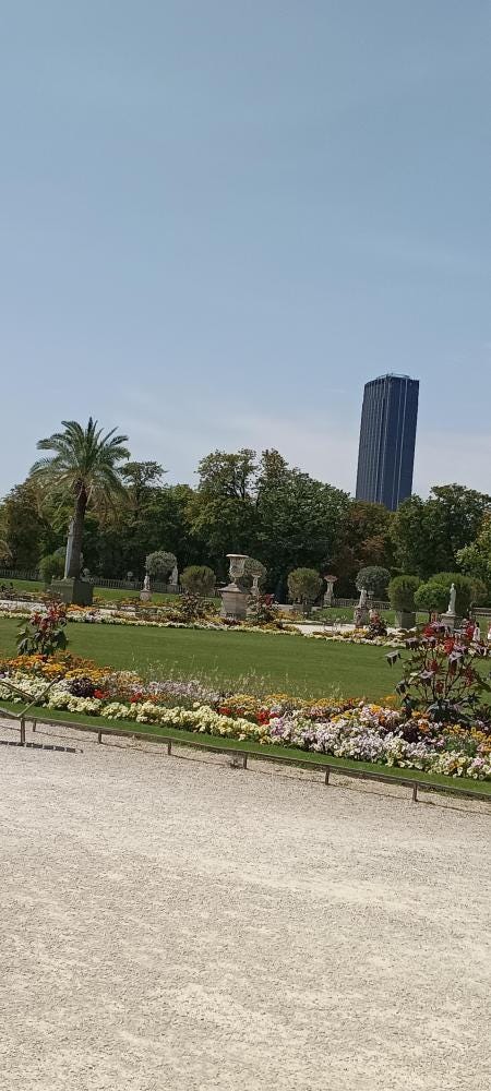 Foto 7 de 7