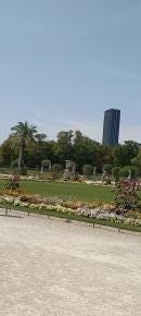 Foto 7 de 7
