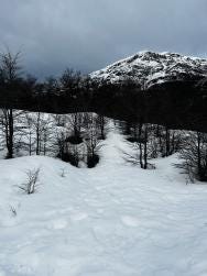 Foto 4 de 4