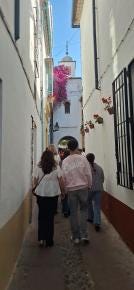 Foto 1 de 2
