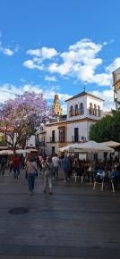Foto 2 de 2