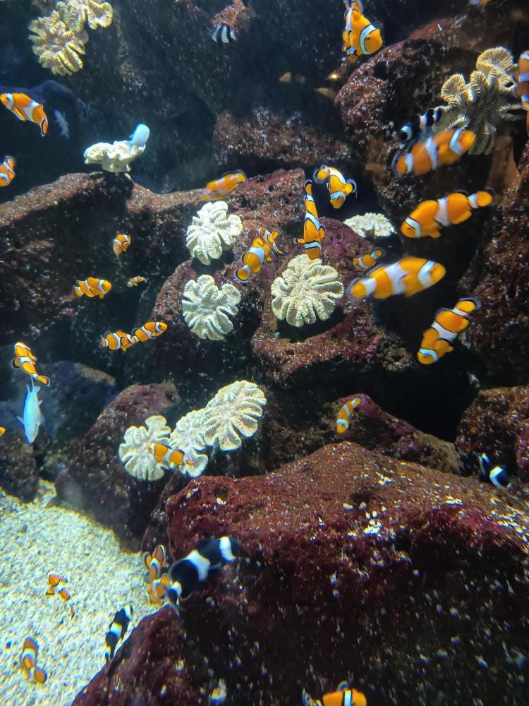 Foto 1 de 3