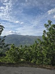Foto 4 de 5