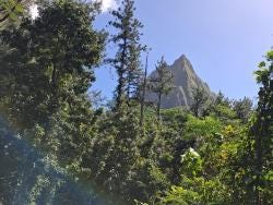 Foto 1 de 4
